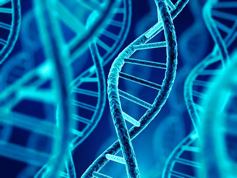 Prognostic implications of NPM1 co-mutation in FLT3-TKD-mutated AML: A retrospective study